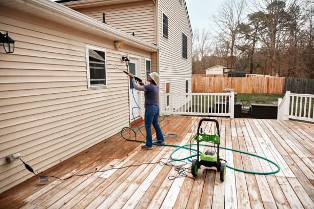 Best House Pressure Washing  in Homewood, IL