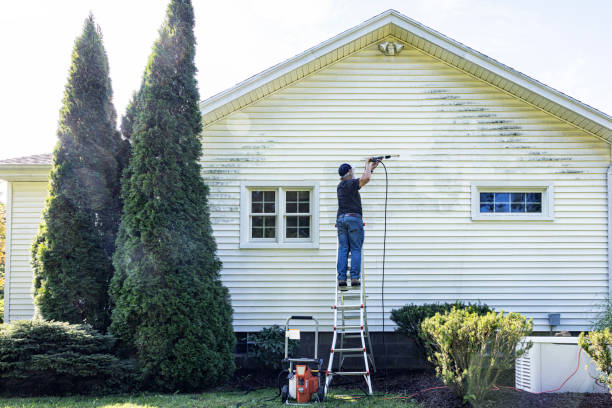 Trusted Homewood, IL Pressure Washing Experts