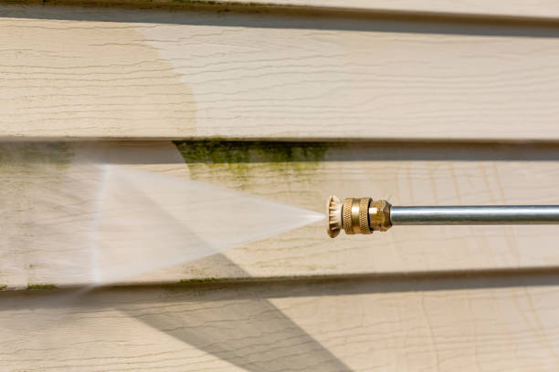 Best Pressure Washing Near Me  in Homewood, IL