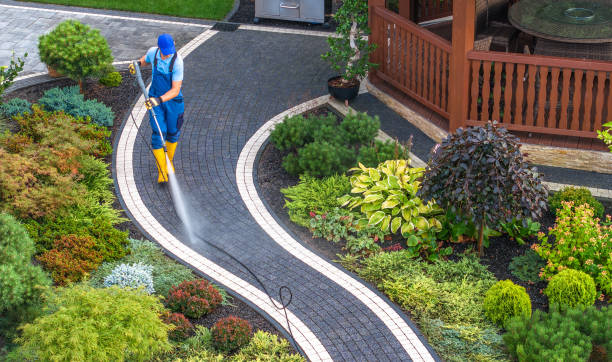 Best Exterior Home Cleaning  in Homewood, IL