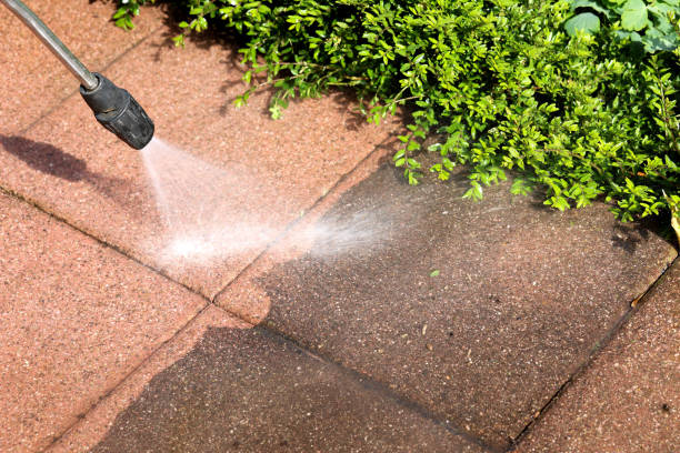 Best Affordable Power Washing  in Homewood, IL